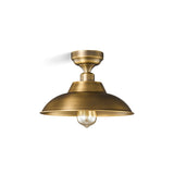 Darya Ceiling Light