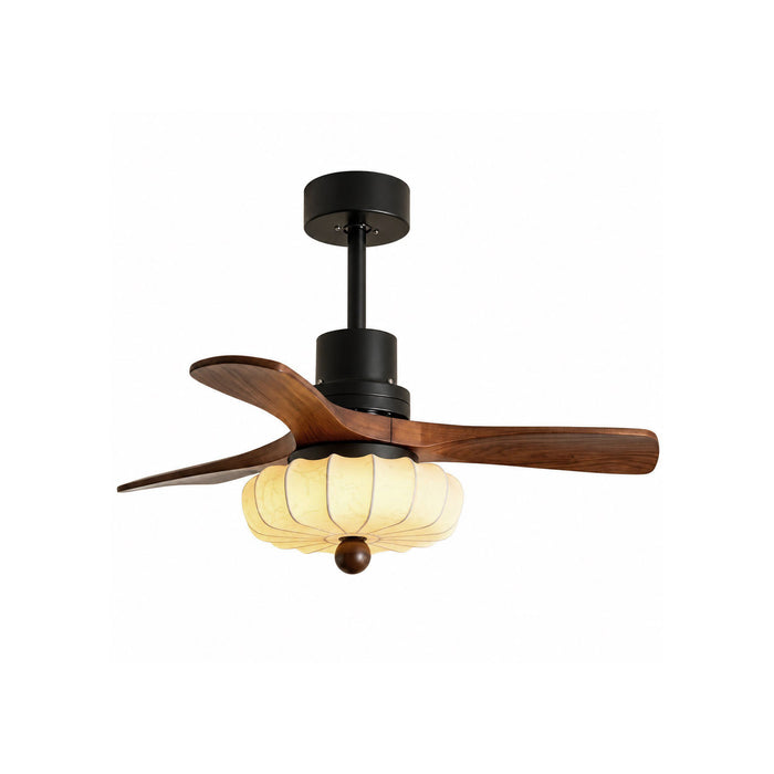 Elira Ceiling Fan Light